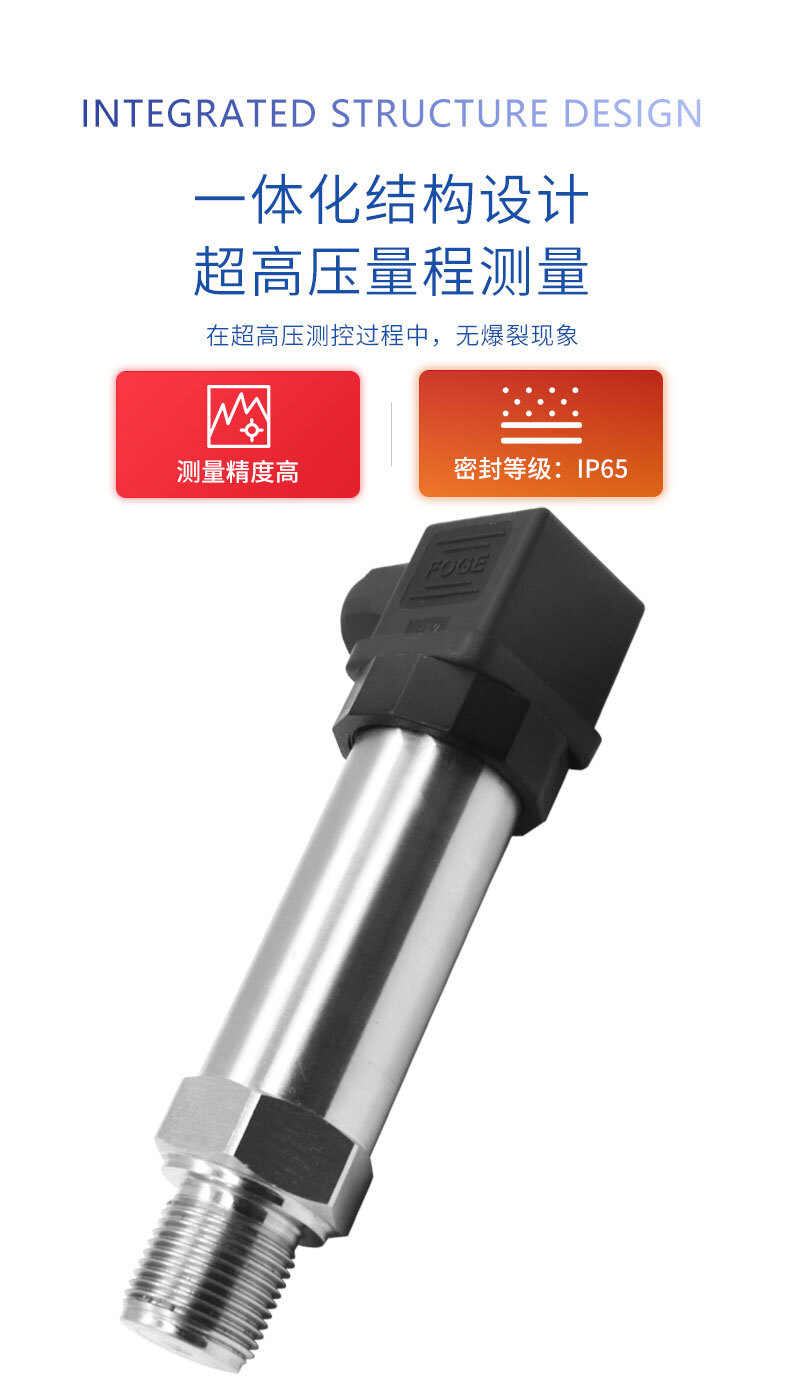 PTL702超高壓變送器_04 PTL702超高壓變送器_04
