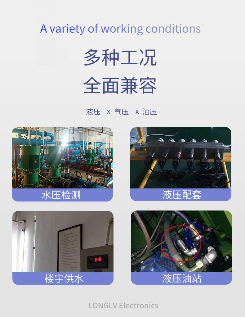 PTL702Q超高壓變送器_02 PTL702Q超高壓變送器_02